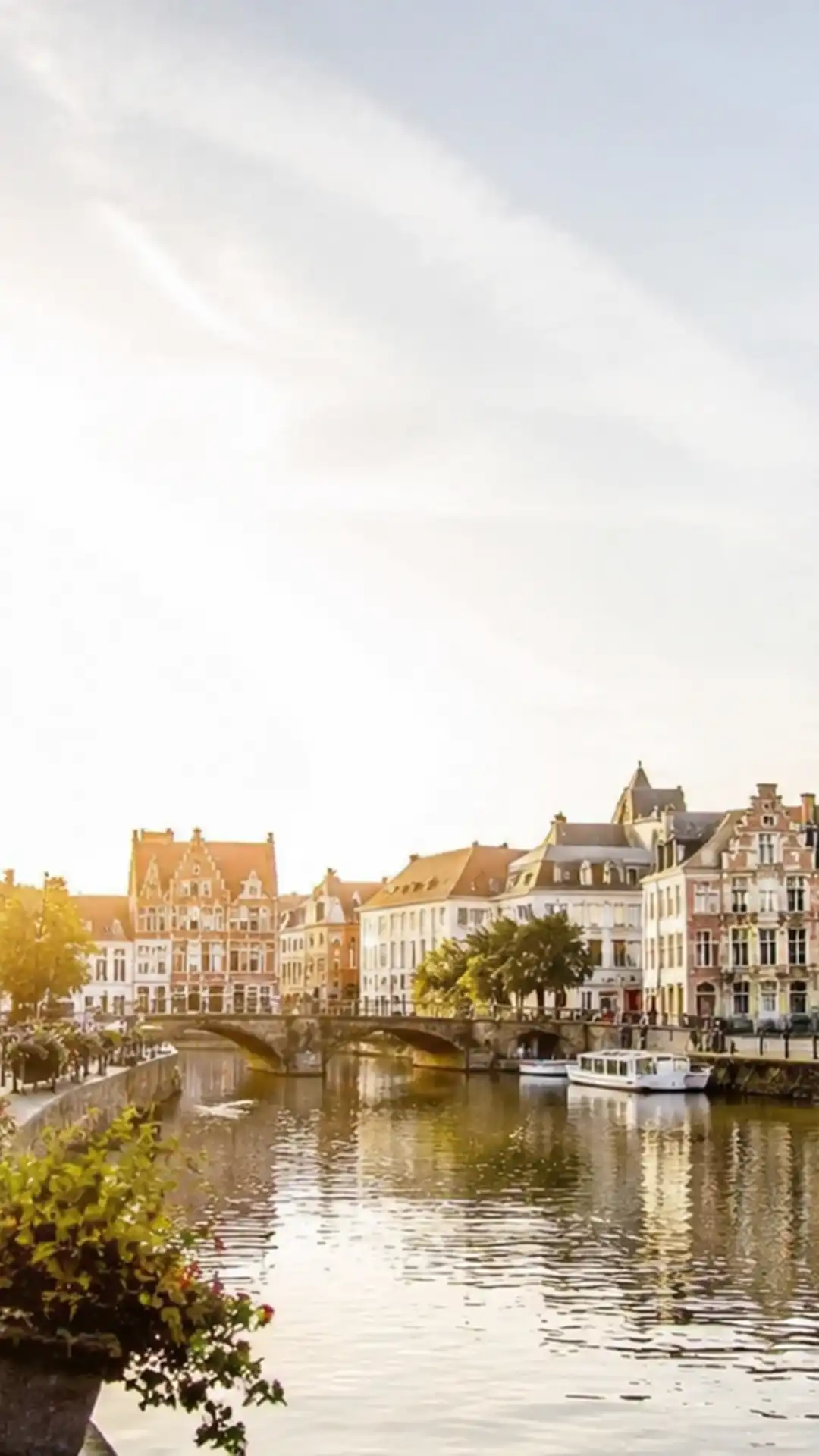 Vind je ideale kot met iKot.be